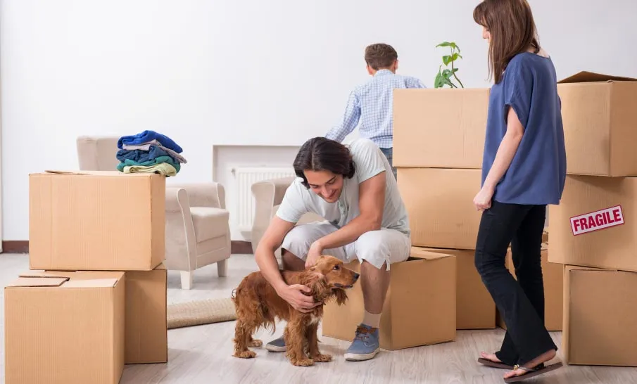 ZH-Umzug-Verpackungsmaterial-Team